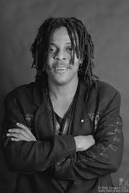 majek fashek 1